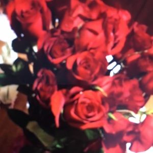 Meet your Posher, Nita